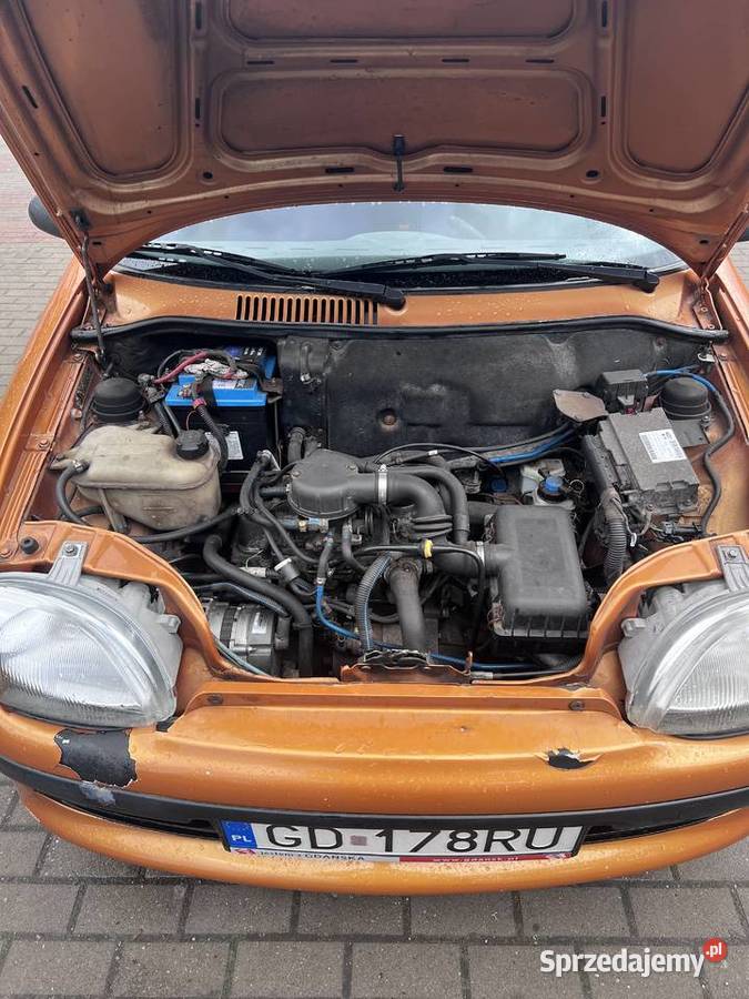 Fiat Seicento pomorskie Kwidzyn