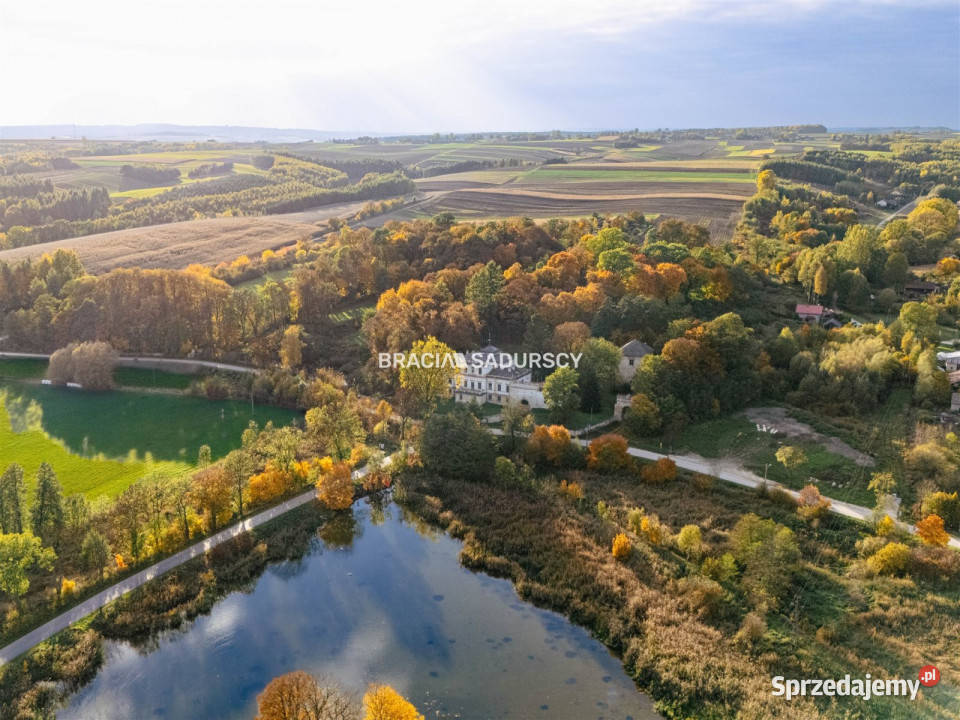 Sprzedam lokal Działoszyce 982m2