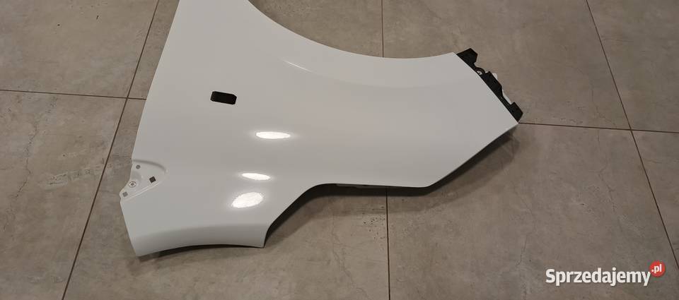 Błotnik Renault express lewa Błotniki Brześć Kujawski