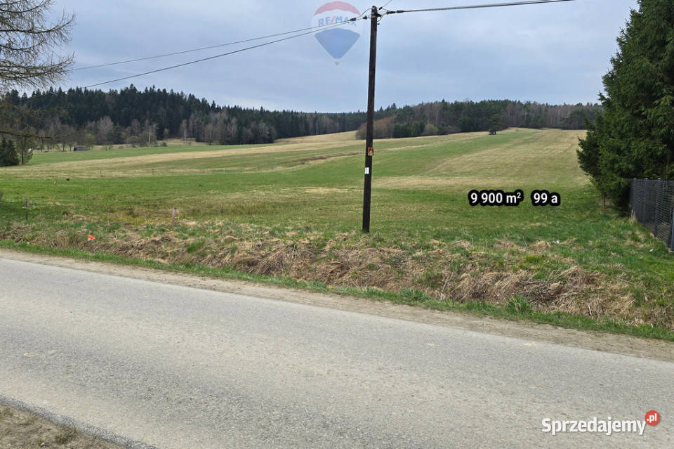 Działka 99a rolbud Smerekowiec Uście Gorlickie