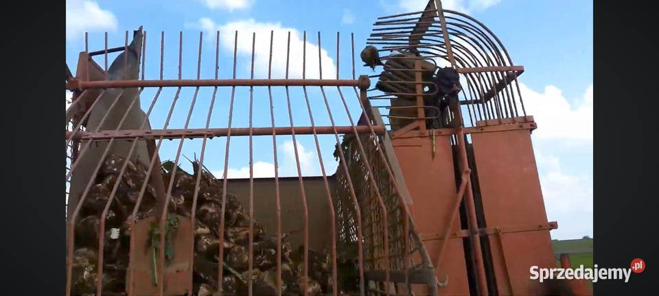 Neptun Kędzierzyn-Koźle