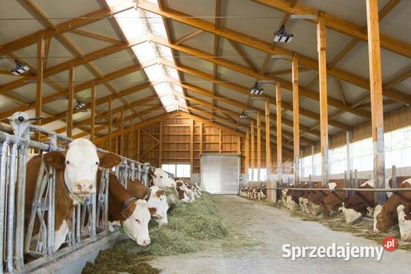 Lampa wielofunkcyjna LED 345985 Kamionna