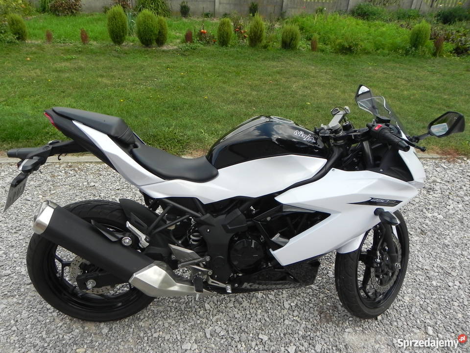 Kawasaki Ninja 250 SL Wielgomłyny