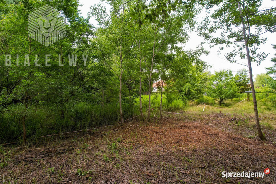 Grunt do sprzedania Wilcza Góra 3585m2
