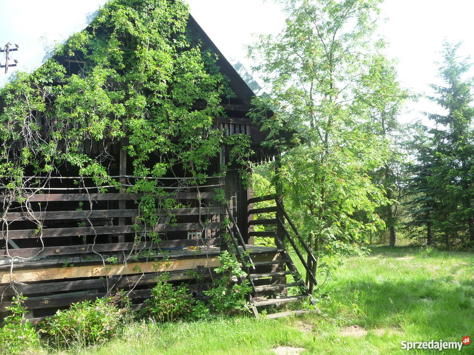 Sprzedam tanio działkę budowlaną ZAŁUBICE STARE Grunty i działki mazowieckie Radzymin