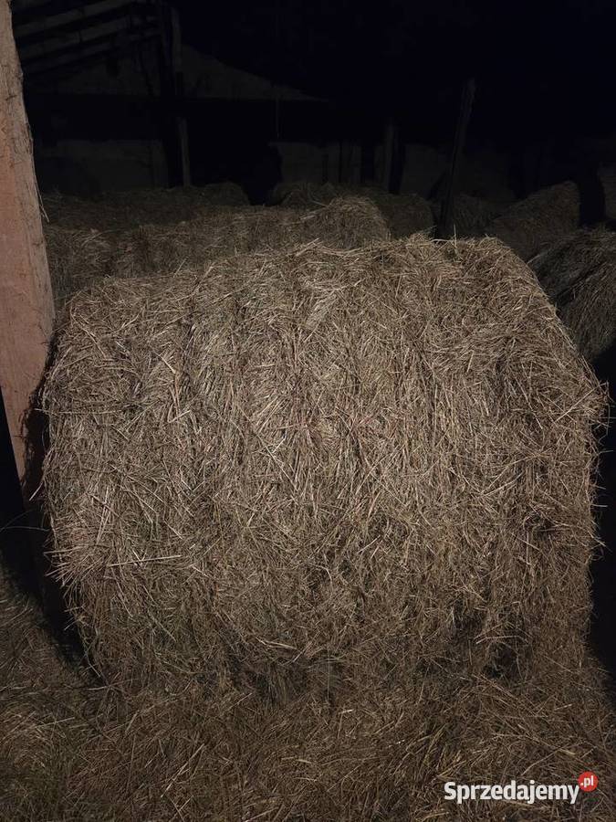 Sprzedam siano Będków