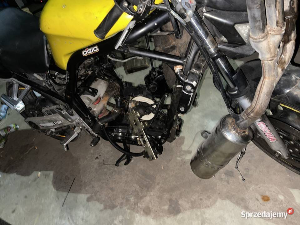 Yamaha fazer 600 fzr thundercat Zwoleń