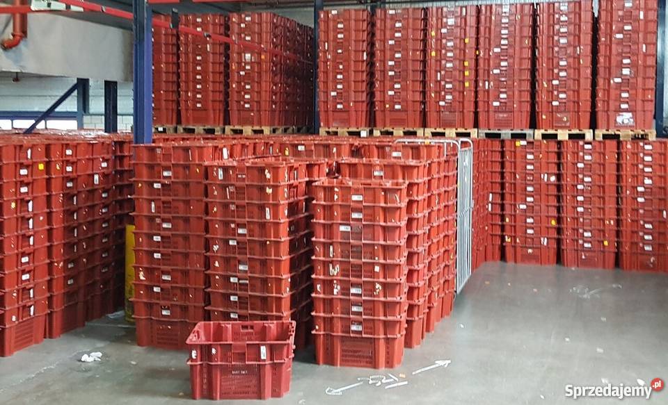 DUŻY Pojemnik skrzynka magazynowy transportowy dolnośląskie Wrocław