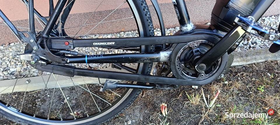 Trekkingowy Rower Elektryczny Batavus Razer 400
