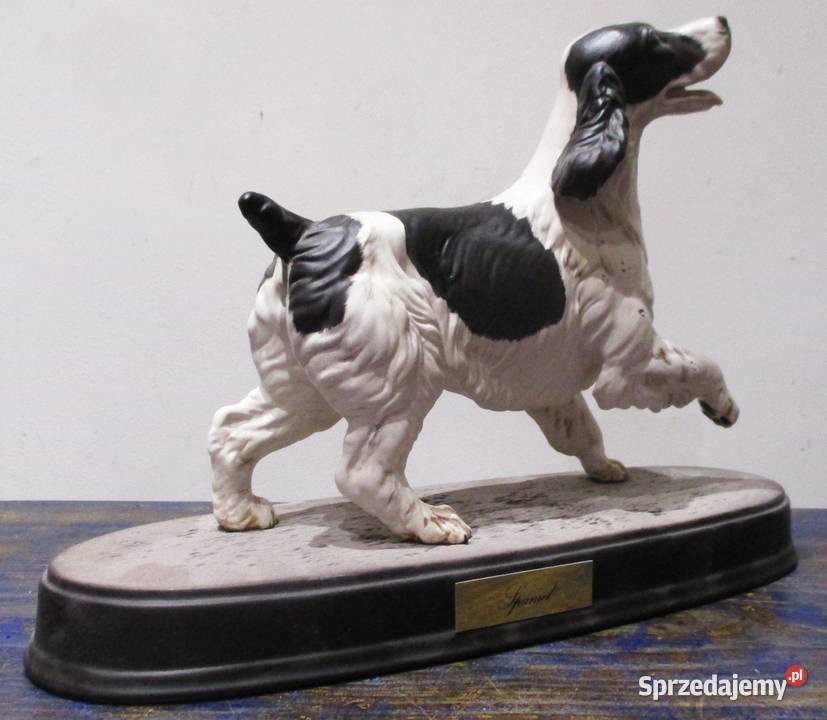 Duża Figura Pies Spaniel Beswick Porcelana i szkło Nieporęt