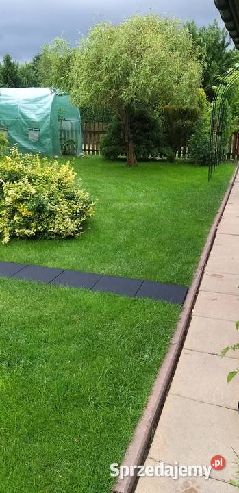 Działka ROD Tamel ogródek działkowy Tarnów sprzedam