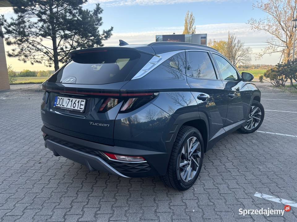 Hyundai Tucson Executive 2021r Polski salon Międzybórz sprzedam