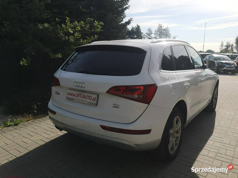 Audi Q5 20 TDI 143 QUATRO Klimatr Alu Skóra 1968cm3 dolnośląskie Strzegom