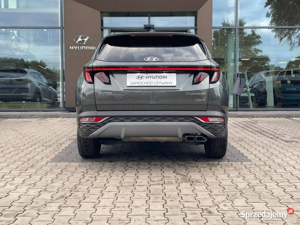 Hyundai Tucson 16TGDI HEV 230 Executive Piotrków Trybunalski