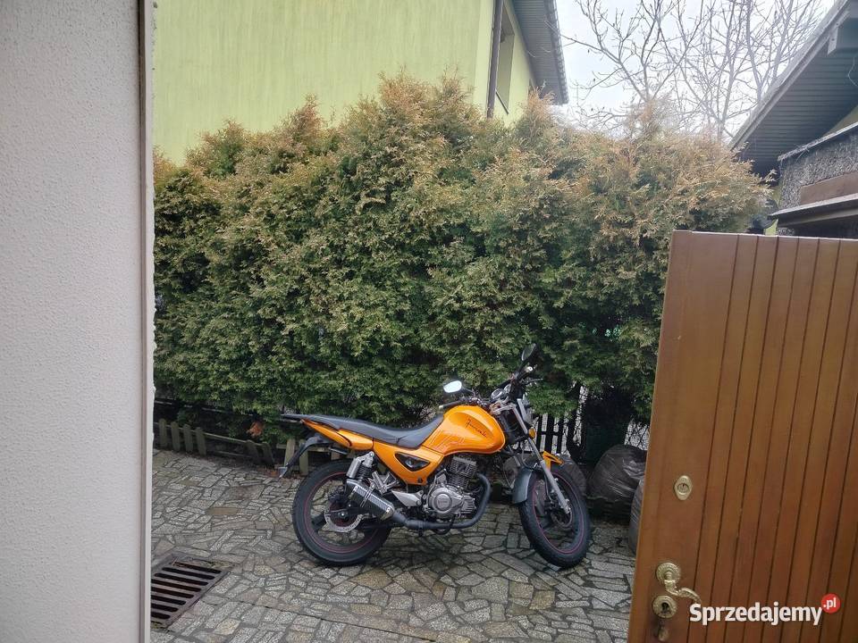 Sprzedam junak 123 Tychy