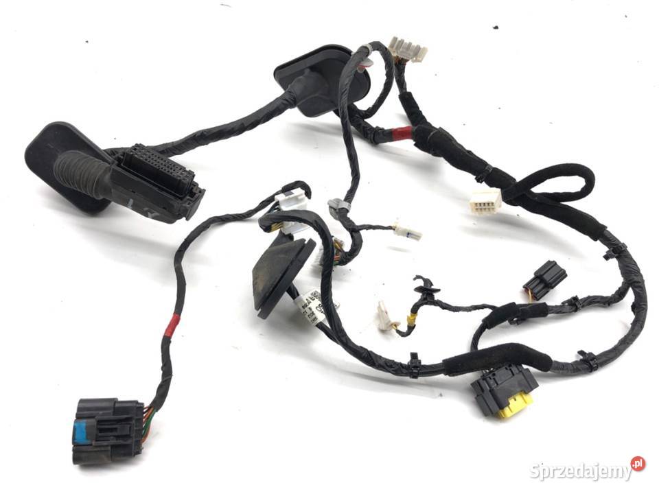 WIĄZKA DRZWI PRZÓD LEWY HYUNDAI SANTA FE III Drzwi sprzedam