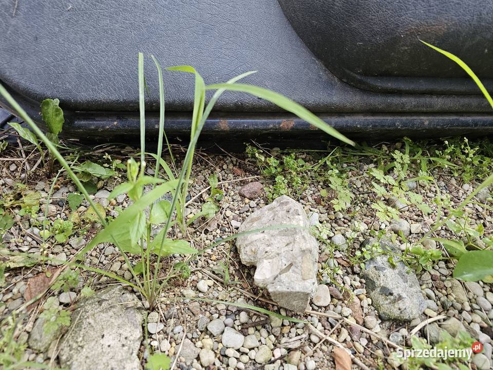 Drzwi citroen berlingo prawy przód mazowieckie Łagów sprzedam