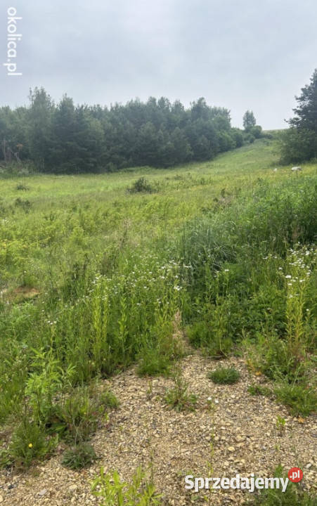 Sprzedam 20000m2 Zdów