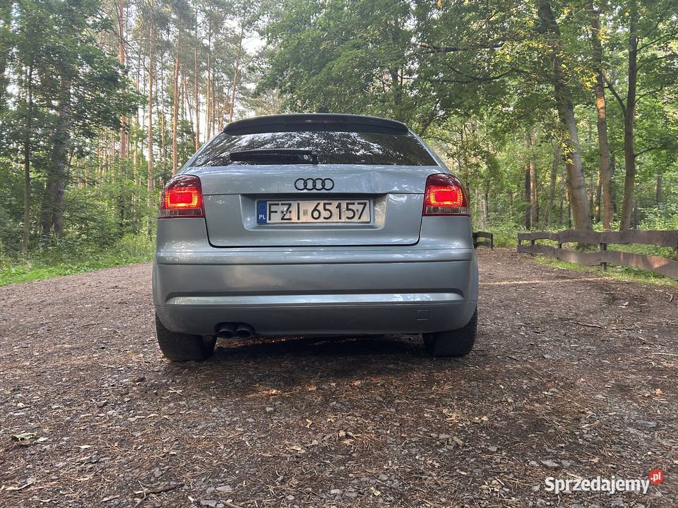 Audi a3 8p 19 tdi BKC 105 404329km Świebodzin