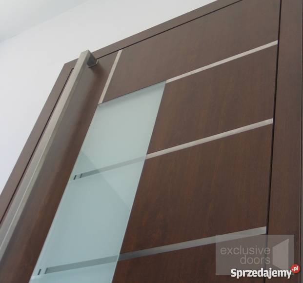 Drzwi wejściowe aluminiowe panel nakładowy Schco Drzwi i okna Piwniczna-Zdrój