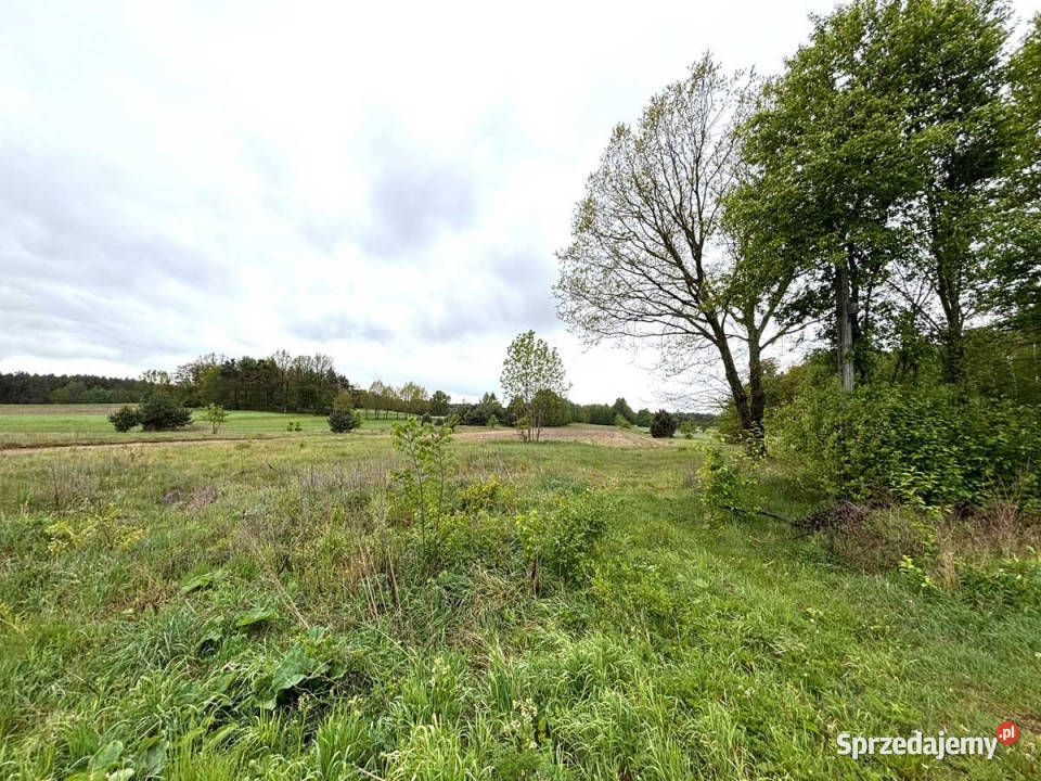 Działka pod zabudowę jednorodzinną mieszkaniową 20648m2 Nieruchomości Rudnik Duży
