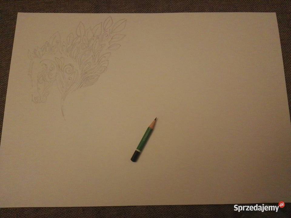 Rysunek koń cienkopis blok tech A3 250 gm2 Warszawa sprzedam