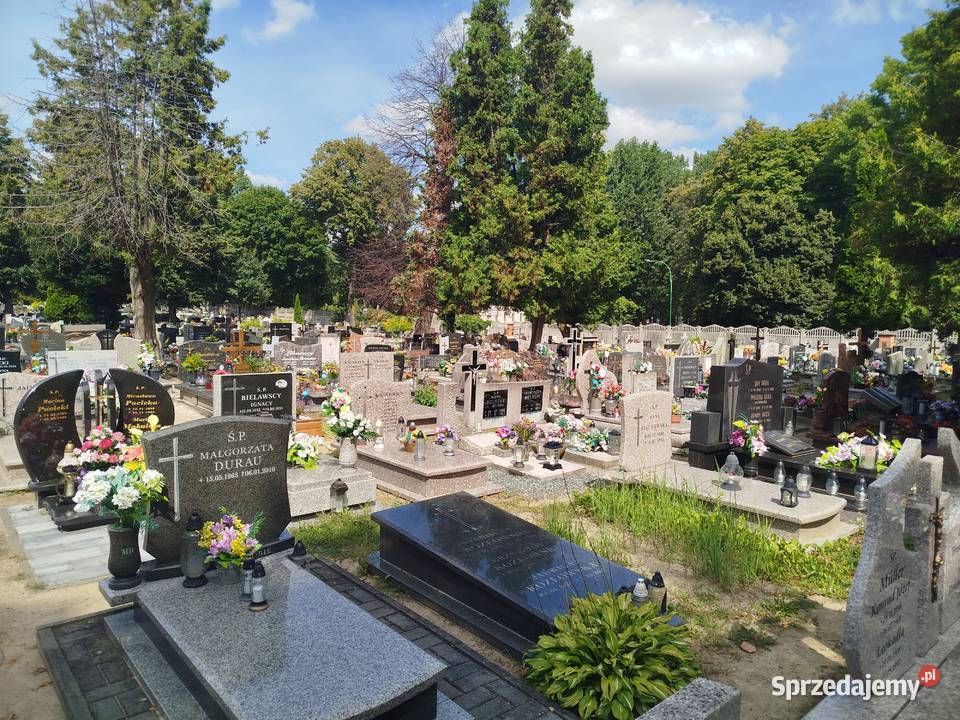 Poprawienie estetyki grobu otoczenia pomnika Wrocław
