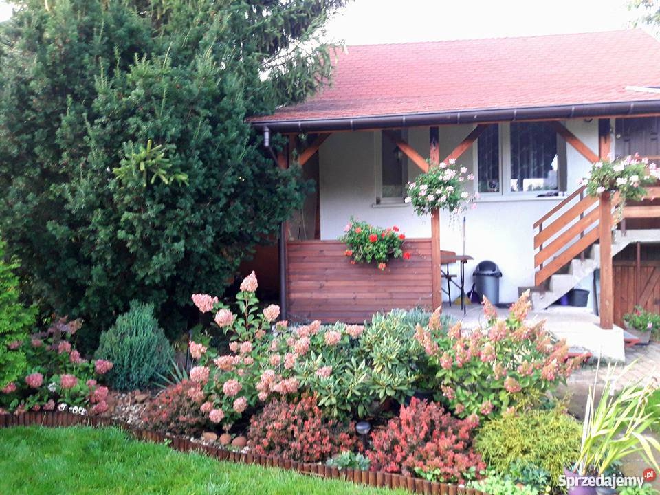 działka ROD Rubinkowo Niesiołowskiego Toruń sprzedam