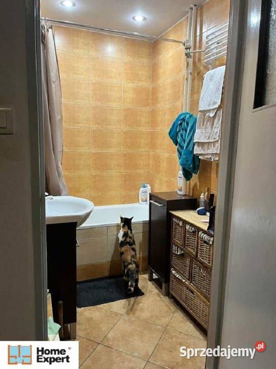 3pok 63met Wygodnej WINDAROZKŁADBALKON Wrocław 63m2 dolnośląskie sprzedam