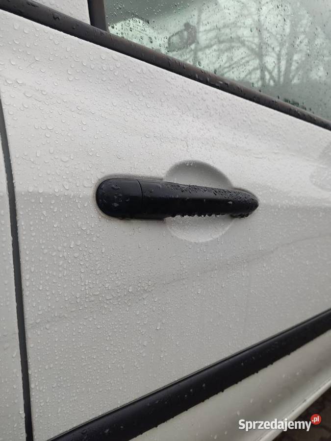 Renault Clio 3 Puszczykowo