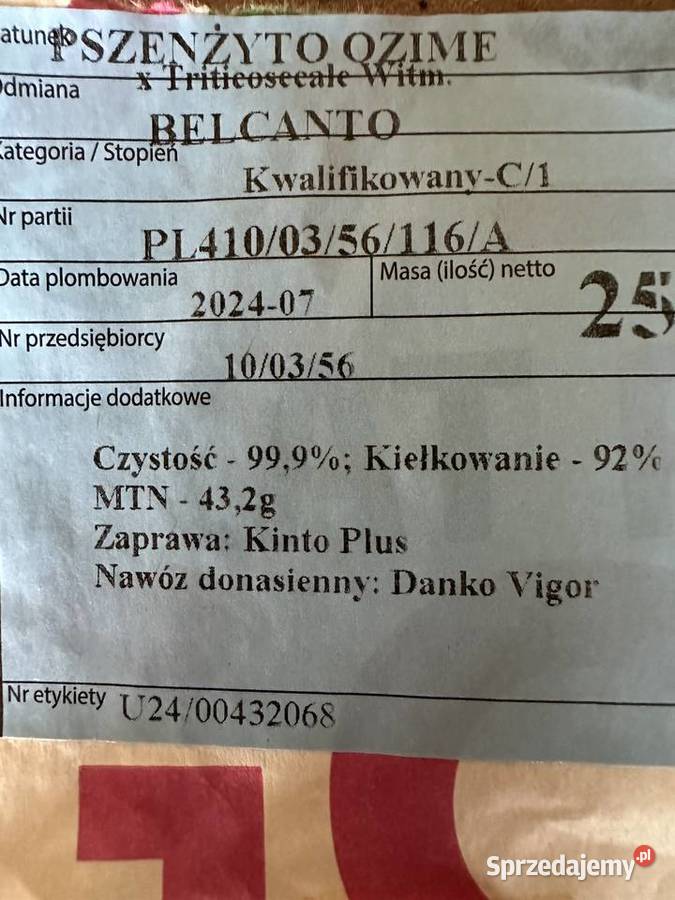 Pszenżyto belcanto Żytowice sprzedam