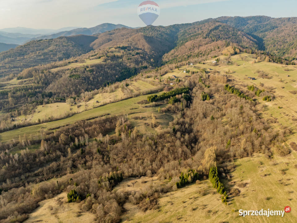 Szukasz prywatnego azylu w sercu Pienin 28m małopolskie sprzedam