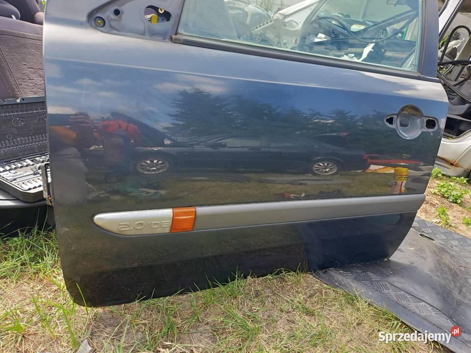drzwi przednie lewe renault laguna II Teb66 Pozostałe Szczecin