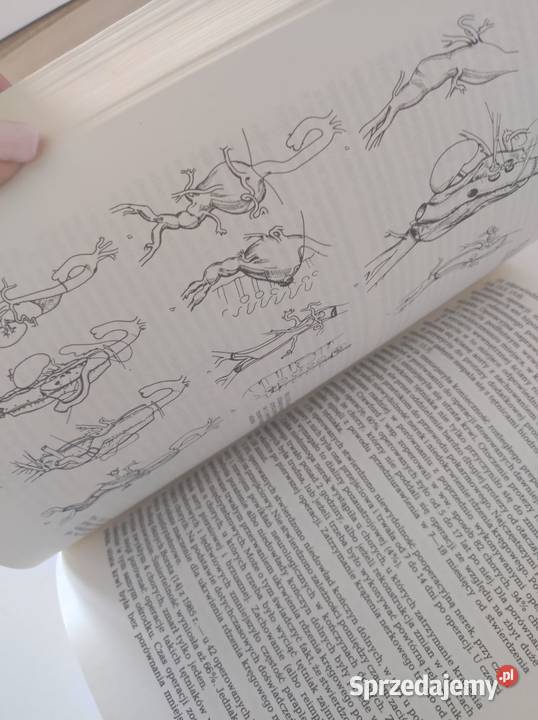 książka medyczna Choroby naczyń Henryk Rykowski Kielce