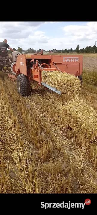 Sprzedam zamienię Paskrzyn