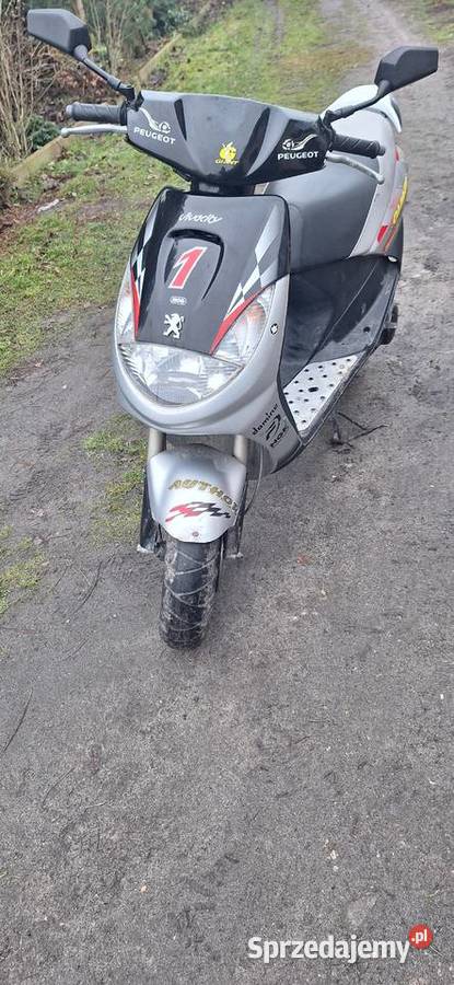 Peugeot vivacity 2t 50 Płoszów