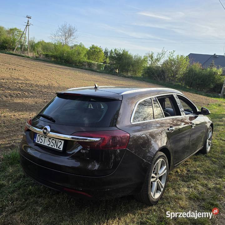 Opel Insignia 20 CDTI 163 Automat Full ACC Skóra Niemodlin