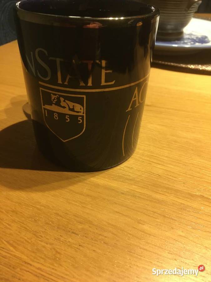 Penn State Acoustics kubek Kilncraft pomorskie Pruszcz Gdański