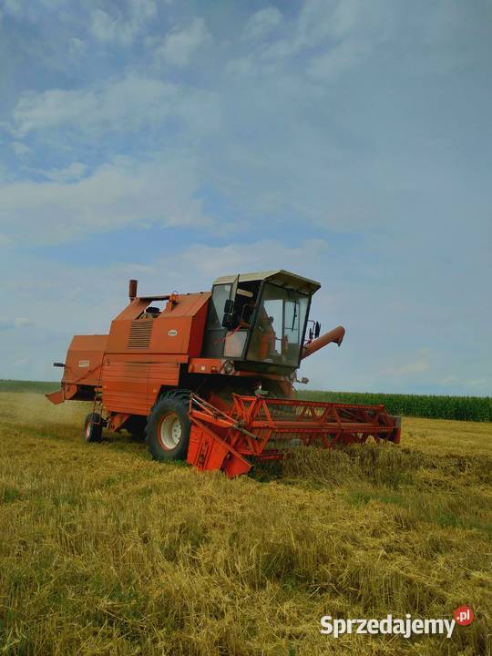 Bizon rekord Z058 Nienowice