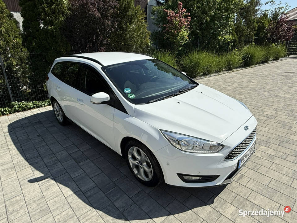 Ford Focus zadbany oryginalny przebieg 100 1560cm3 Motoryzacja Poznań