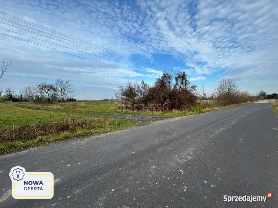 Dwie działki w Żukach rolna i pod zabudowę asfalt lubelskie Żuki