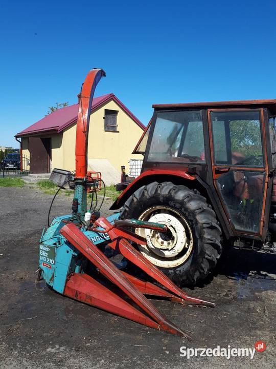 Sieczkarnia do kukurydzy Turowola