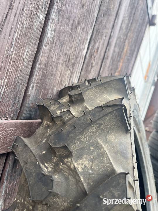 Opona Jodełka 658014 Wielgie sprzedam