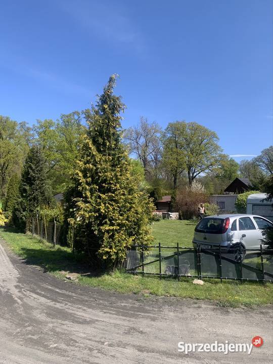 Działka Rod Opalenica sprzedam