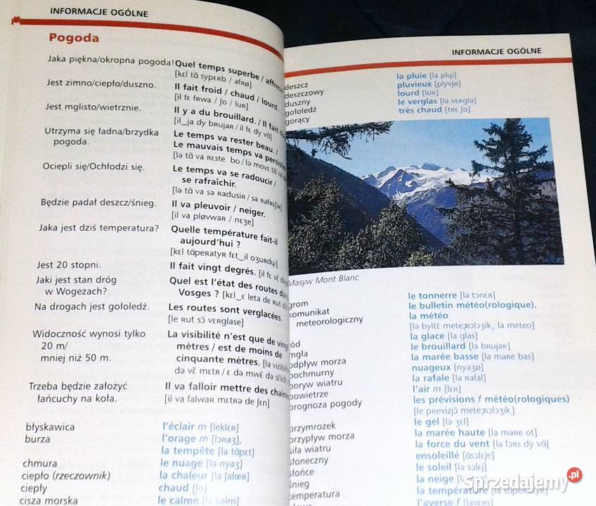 Rozmówki francuskie Rozmówki ze słownikiem PONS Chełm sprzedam