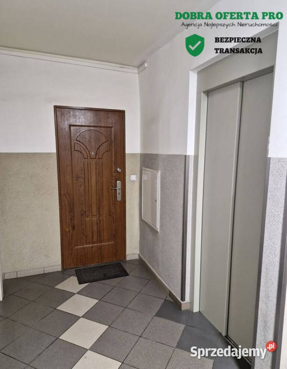 2 pokoje z loggią i ogródkiem Zaspa 482 m piwnica Gdańsk