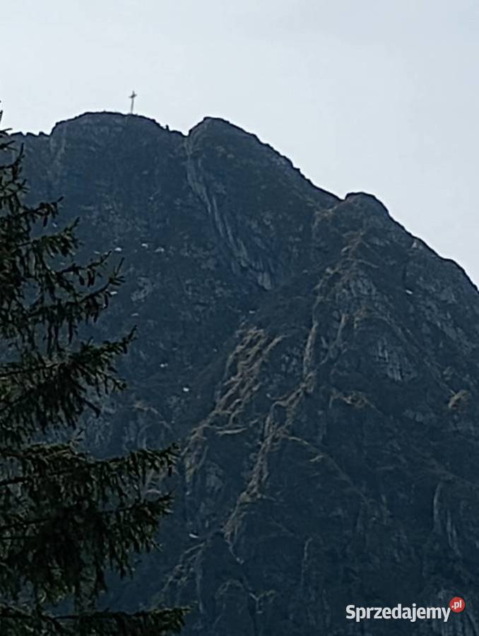 Sprzedam telefon Motorola Iwaniska