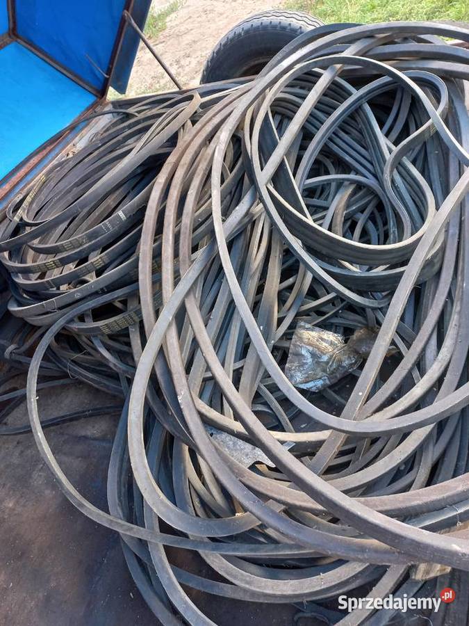 Paski do kombajnu bizon wielkopolskie