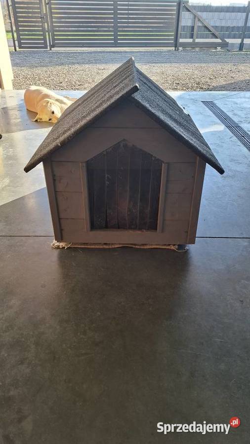 Ocieplana buda psa kota Dębica