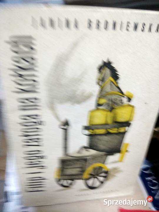 Filip i jego załoga na kółkach Broniewska piękne Warszawa sprzedam